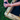 Built by the Pros: August Ambassador Highlights